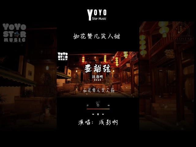 浅影啊 - 画离弦