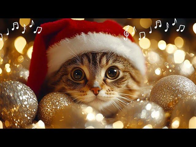 Calming music for Cats  Cozy Christmas Ambience no ads |Piano cat music 2025