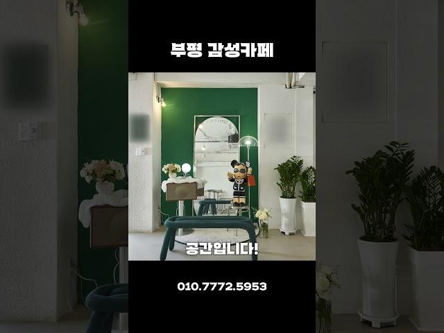 부평 감성 카페 창업! 굴포천 옆 29평 A급 인테리어 매물 공개