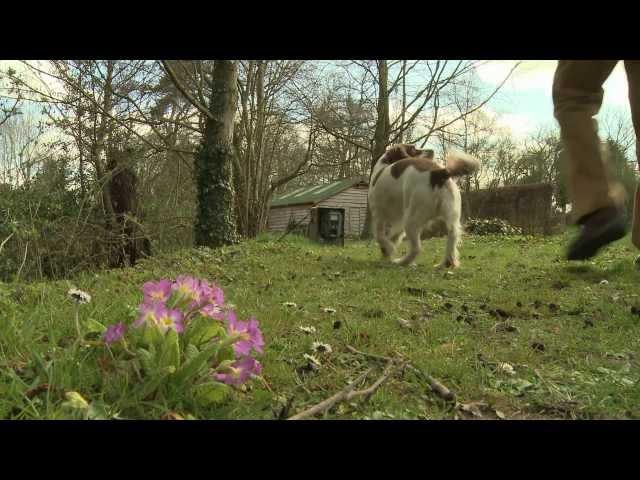 Wild About Shropshire with Ben Waddams - New-to-Science Otter Behaviour