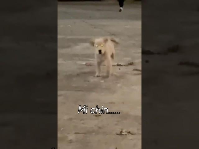  : 훗..계획대로야