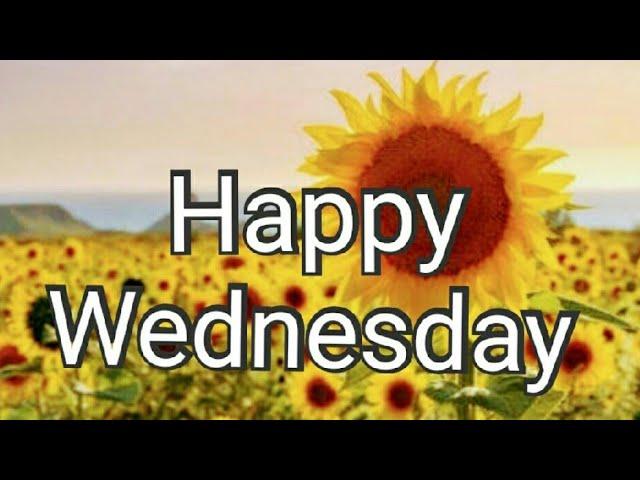 Good morning Wednesday images, best good morning images & beautiful flowers images