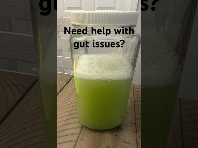 Gut issues? Drink fermented #cabbage juice!￼ Add salt & veggie starter to raw juice. ️w/ur Dr. 1st