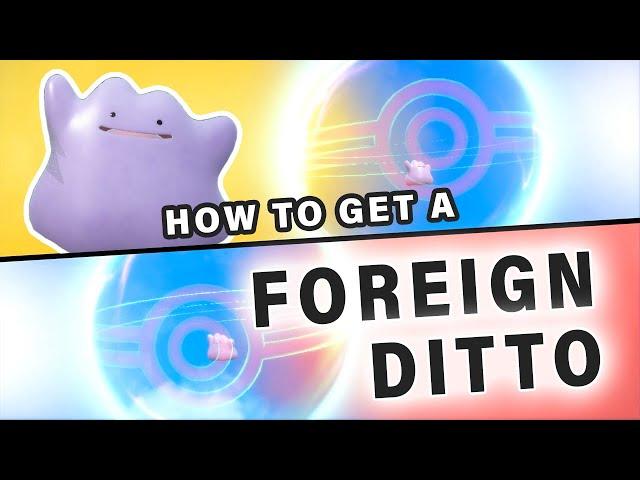 How to get a Foreign Ditto Trade ► Pokemon Scarlet & Violet