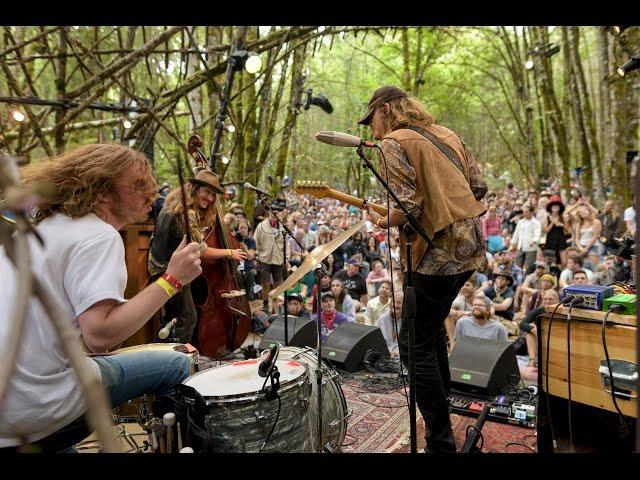 Daniel Norgren - People Are Good - Woods Stage @Pickathon 2016 S04E08