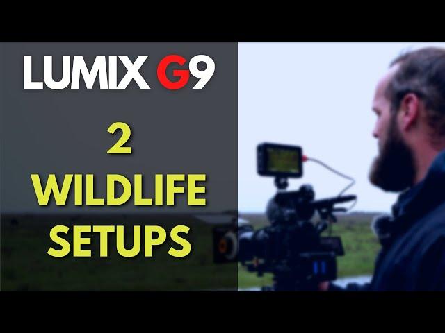 LUMIX G9 // TWO Wildlife Video SETUPS