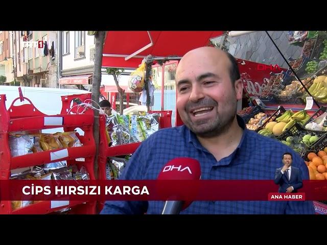 Hırsız Bakın Kim Çıktı?