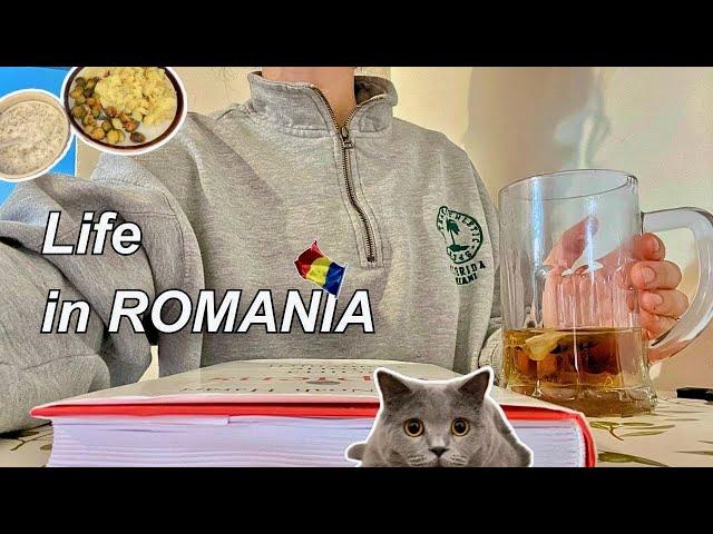 Daily Life in Romania, Shopping, Cooking Mujdei & Brussel Sprouts, Cozy Autumn Days  A Silent Vlog