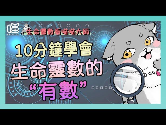 一句話學會生命靈數「有數」特質。喵喵大師 S9ep2