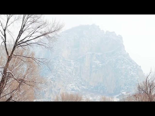 笛子·古筝合奏《明镜菩提》纯音乐，闭目静听，让人陶醉（Flute and guzheng ensemble Buddhs