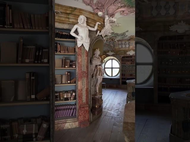  Wait for the hidden door! #architecture #baroque #rocco #library