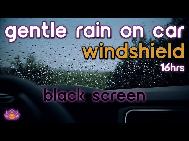 [Black Screen] Gentle Rain on Car Windshield No Thunder | Rain Ambience | Rain Sounds for Sleeping