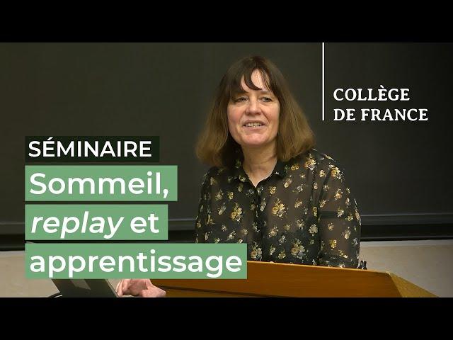 Sommeil, replay et apprentissage (5) - Stanislas Dehaene (2024-2025)