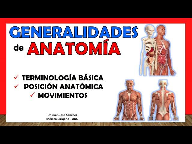  ANATOMY GENERALITIES - Anatomical Position, Anatomical Terminology. Easy and simple!