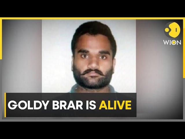 US police rebut reports of gangster Goldy Brar's murder, says he is alive | Latest News | WION