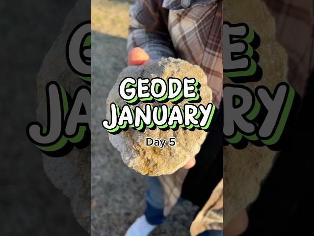 Day 5 of #geodejanuary is a stunner! 🪨 from