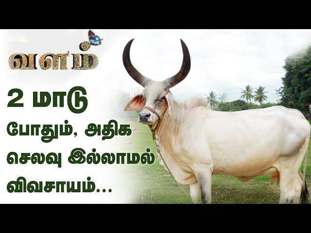 Chennai - விவசாயத்தில் பட்டையை கிளப்பும் IT ஊழியர் | Indian Native Cow Breeds | Valam EPI 1