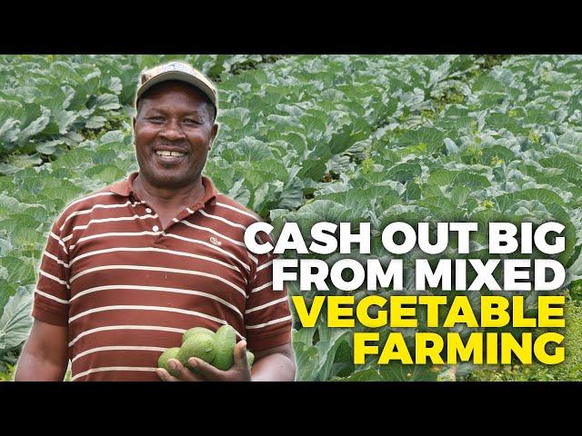 I Took Early Retirement to Focus on Mixed Vegetable Farming || How I Cash Out Big