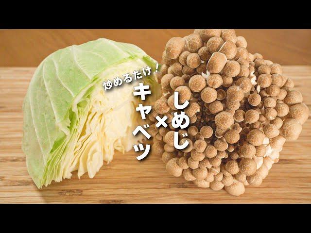 【キャベツレシピ】炒めるだけ！カンタンうまい中華！