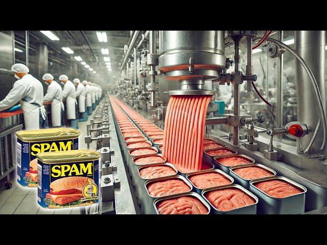 How CANNED MEAT is Made in Factories | How It's Made | Captain Discovery