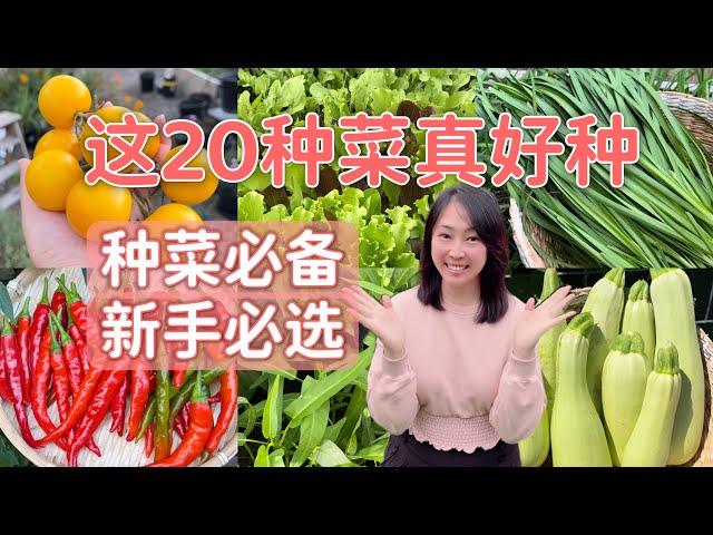 【Garden】20 easy growing vegetables and tips for home garden beginner2 0种好种容易种的蔬菜+ 每种菜的种植诀窍，新手必看干货分享