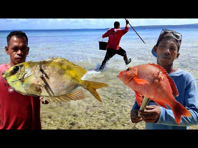 Alam Asri berburu Kerang dan Kejar²an dengan Ikan saat air laut surut bersama Subscriber Hongkong