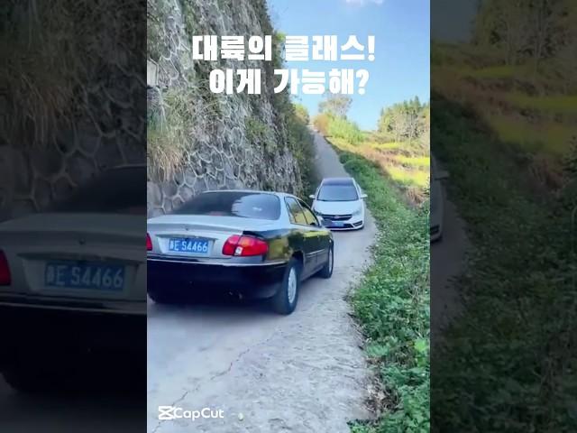 중국 대륙의 놀라운 양보운전, 이게 가능하다고?  #양보운전 #대륙