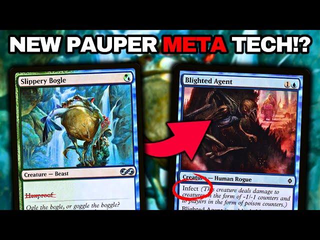 New *SECRET* Sideboard Tech - Pivot To Infect!? | Pauper Bogles | MTGO League Gameplay