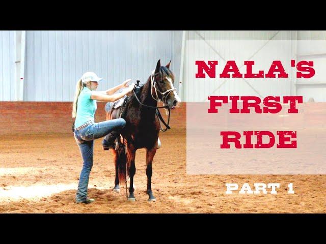 Nala's First Ride - Part 1 | Full length video -  Colt Starting Series, Part 7