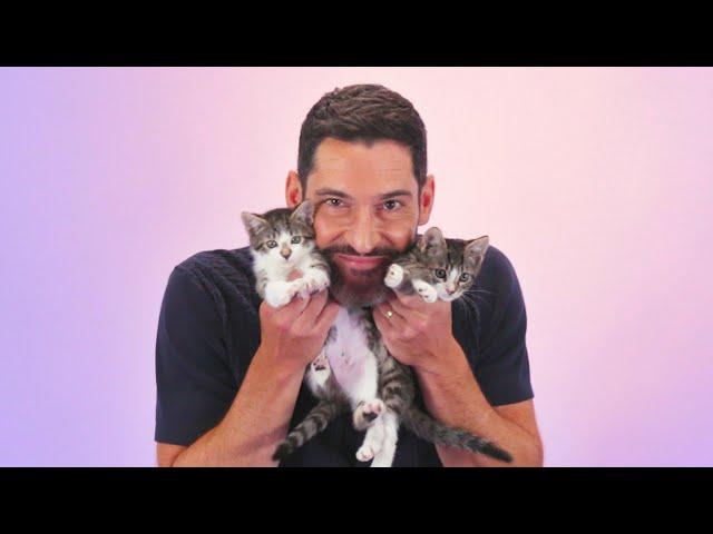 Tom Ellis: The Kitten Interview