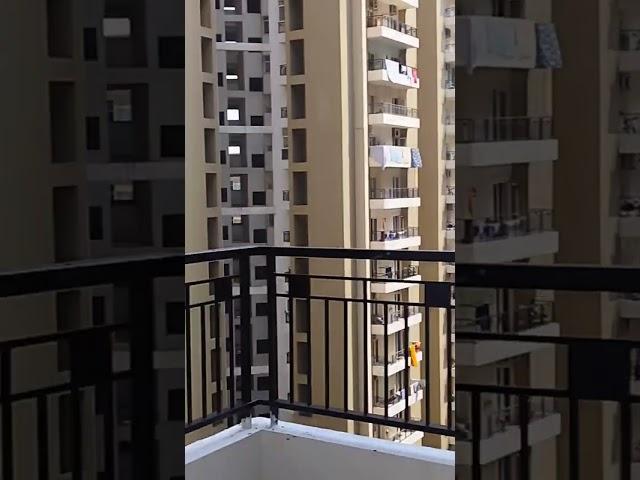 Gulshan ikebana sec-143 Noida Prak Facing 1340 sqft For rentCall7017258796#shorts  #youtubeshorts