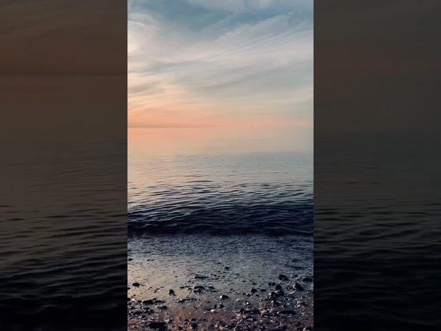 Dive into a minute of tranquility with the soothing sounds and sights of the ocean. #Relaxation