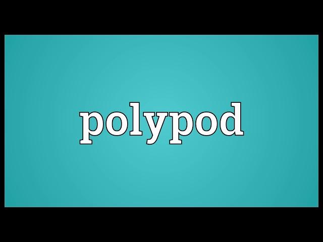 Polypod Meaning | Wordogram