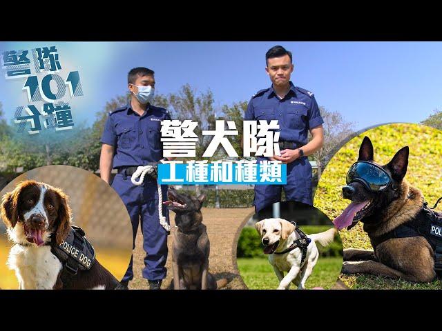 【 警隊101分鐘 ・ 警犬大不同 】