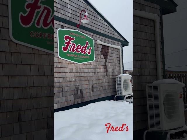 Fred’s #catskills #snow @freds