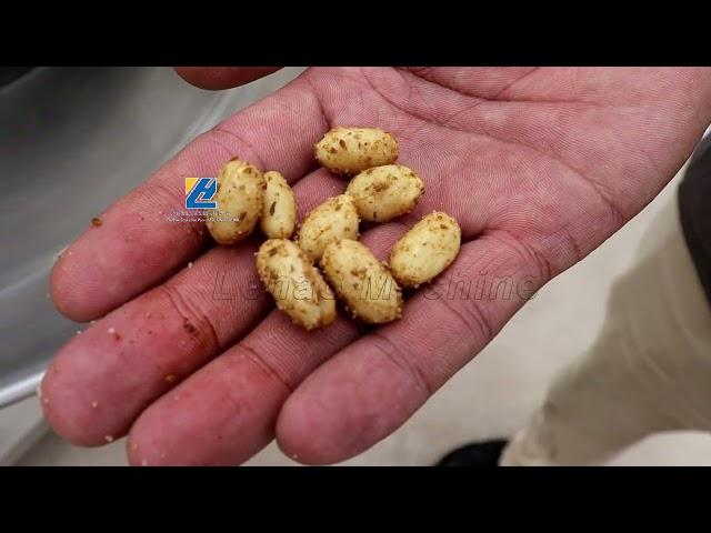 Spiral Type Mixing Machine For Making Seasoned Peanuts