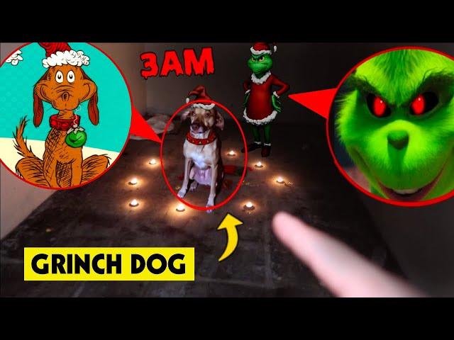 DO NOT ENTER THE GRINCH’S HIDEOUT BEFORE CHRISTMAS AT 3AM *WE FOUND THE GRINCHS DOG MAX*