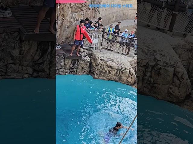 캐리비안베이 다이빙 #캐리비안베이 #다이빙 #8미터다이빙