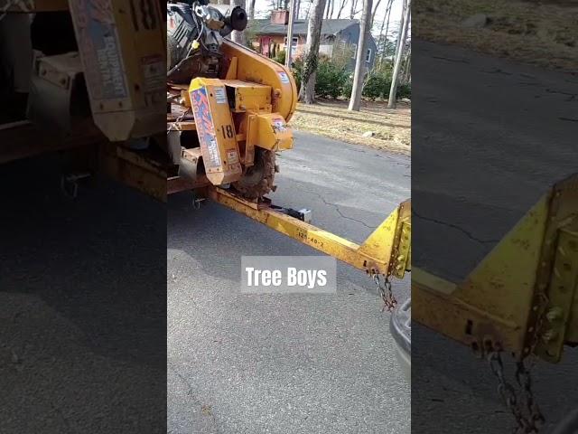 Tree Boys Bringing Stump Grinder #treework #treeclimber #treelife #treepeople #stumpgrinding