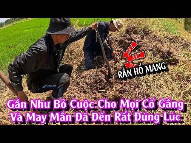 CON RẮN đã thay đổi toàn bộ cục diện chuyến đi SĂN | TGSB #1028