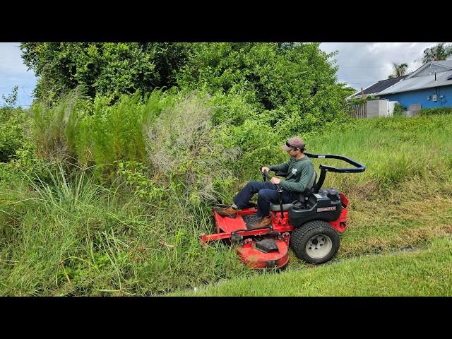 NEIGHBOR'S Fence DESTROYED by The Overgrowth