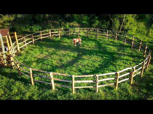 I Built a Horse Training Round Pen For $60