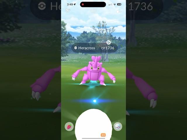 I Found a Shiny Female Heracross! And I CAUGHT in Pokémon GO! #pokemon #shinypokemon #pokemongo