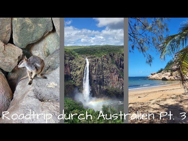 Vlog 32 - Australiens Ostküste - Ein Roadtrip nach Sydney // WALLAMAN FALLS & MAGNETIC ISLAND