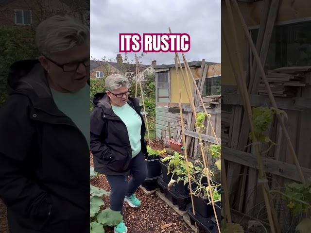 It’s Rustic: Embracing the Charm of Simplicity!  #gardening #allotment #rustic #fun #funny #shed