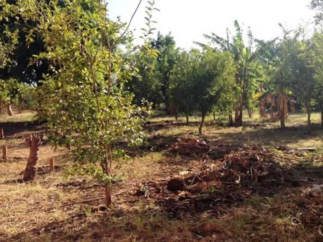 SE VENDE CASA QUINTA EN COFRADIA, MANAGUA