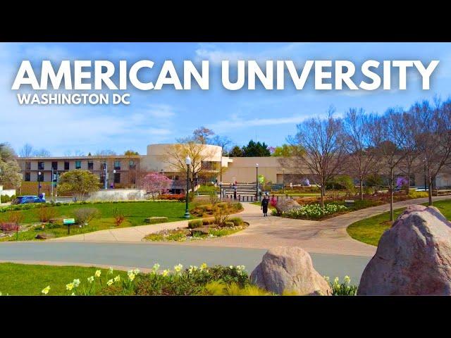 American University in Washington DC ️ | Walk With Me, Campus Tour | College in the City