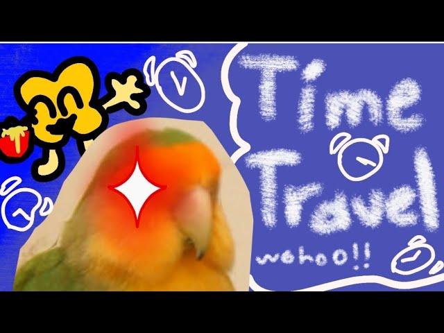 Time Travel With Birbthingy (Interactive video)  ( Original Idea by Carykh)