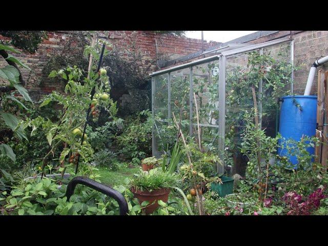 Prepper Fruit & Vegetable Garden