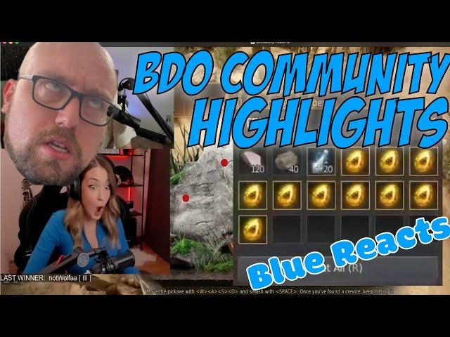 BDO Community Highlights | Black Desert Online Community Highlights Blue Reacts